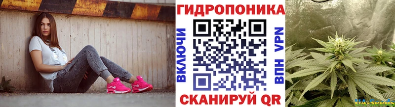 Конопля Amnesia Черепаново